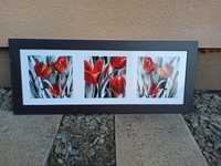 Obraz czerwone tulipany