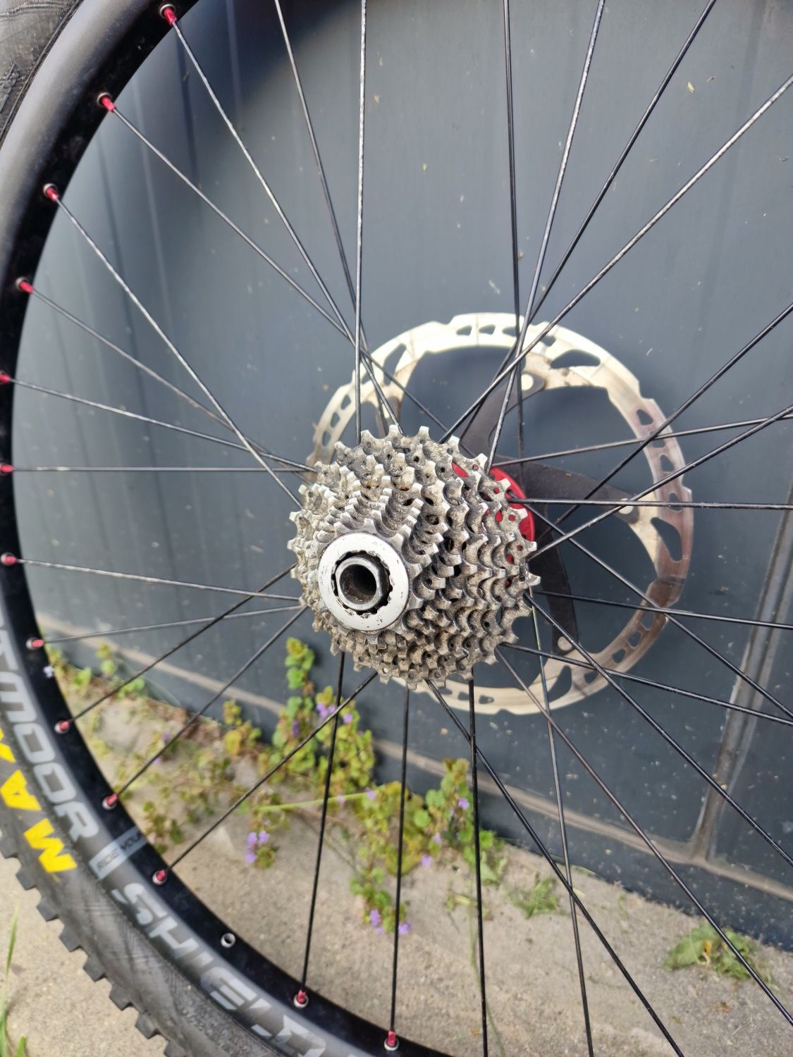 Zestaw kół kore torsion i dartmoor shield + opony maxxis 26