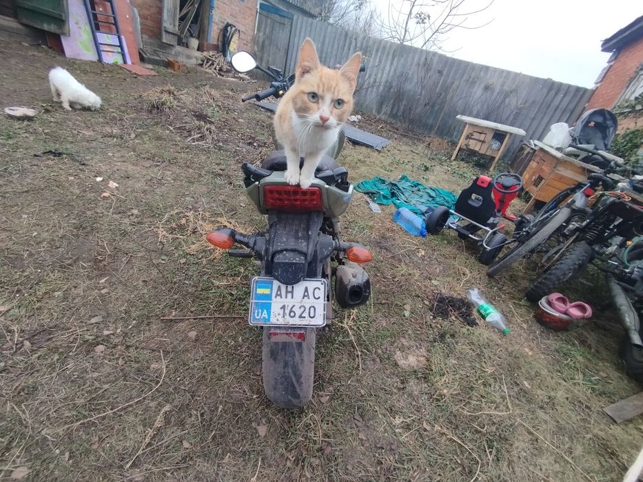 Продам мотоцик vaiper vm 200 r-2