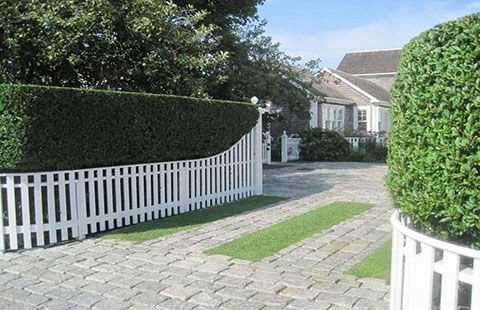 Grab pospolity sadzonki 500 sztuk 20 cm na żywopłot  odporny po 30 gr