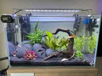 Aquario completo de 37L