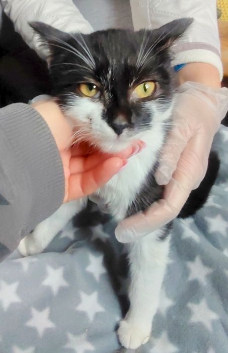 Szymon błaga o dom ...