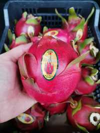 Pitaya - fruto produção nacional