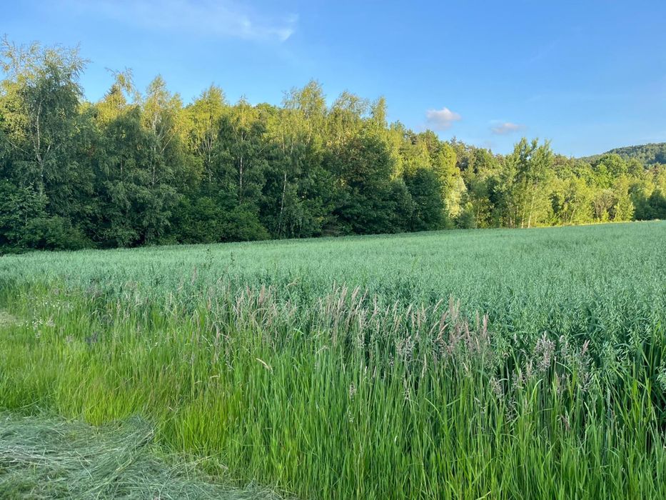 Dzialka budowlana 13ar zagórze siolkowa spokojna okolica