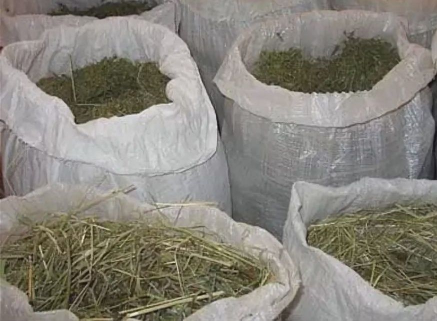 Сено в БУДКУ собакам с доставкой, сіно в мешках тюках овсяное и др.