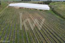 Propriedade Agricola na Campina de Idanha a Nova com 20ha em Plena Ati
