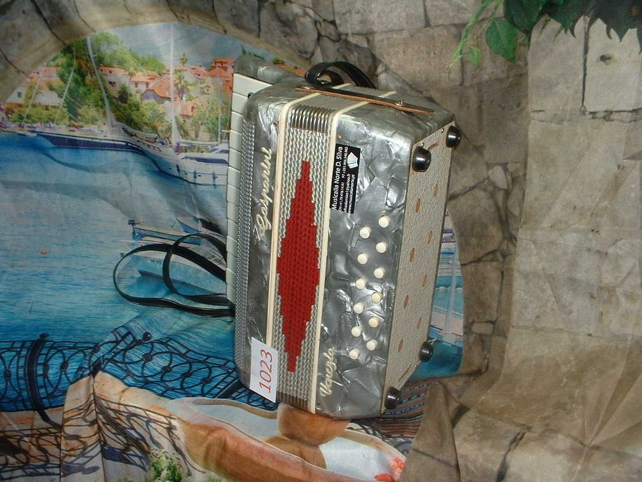 Acordeao para venda N, 1023