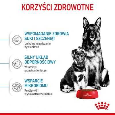 Karma dla psa Royal Canin Maxi Starter Mother & Babydog 15kg OKAZJA !!