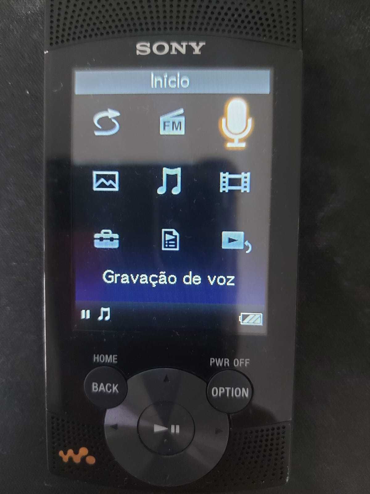 Walkman Sony NWZ-S544