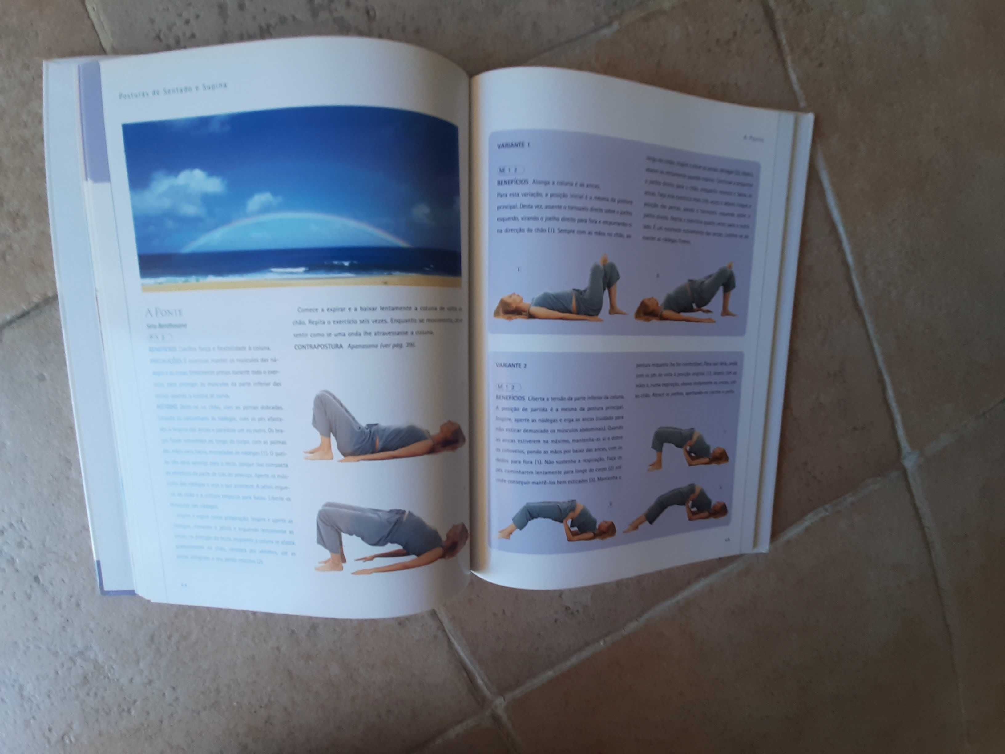 Livro Yoga na Gravidez