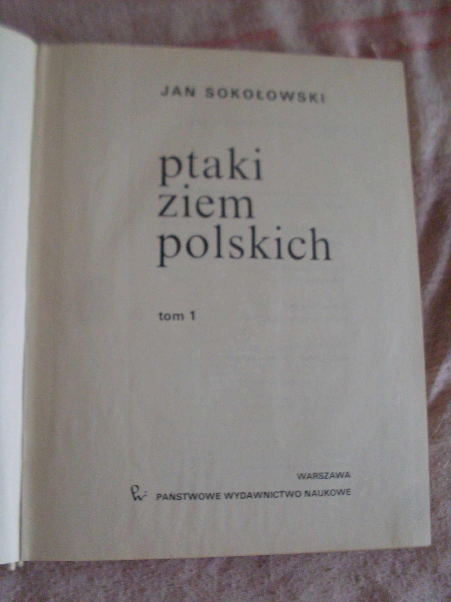 Sokołowski Ptaki ziem polskich tom 1