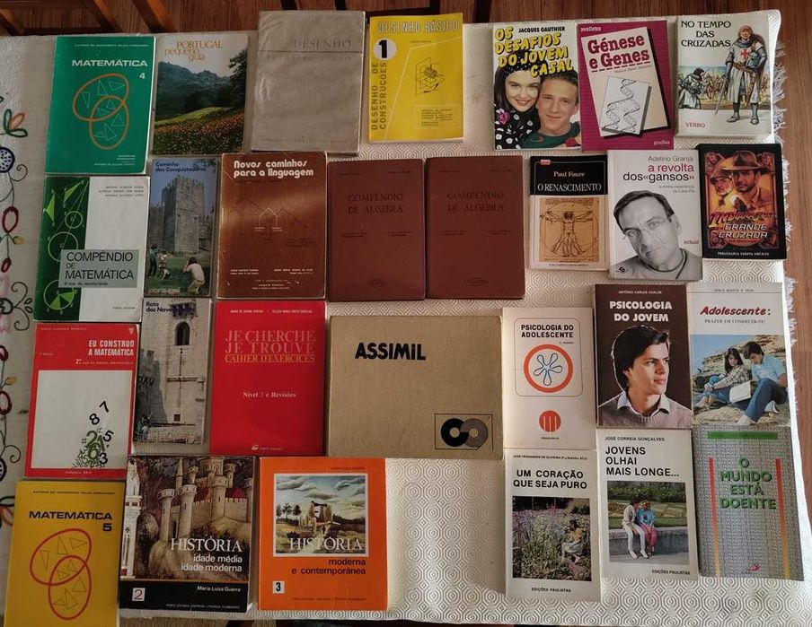 Lote Livros - Diversos temas