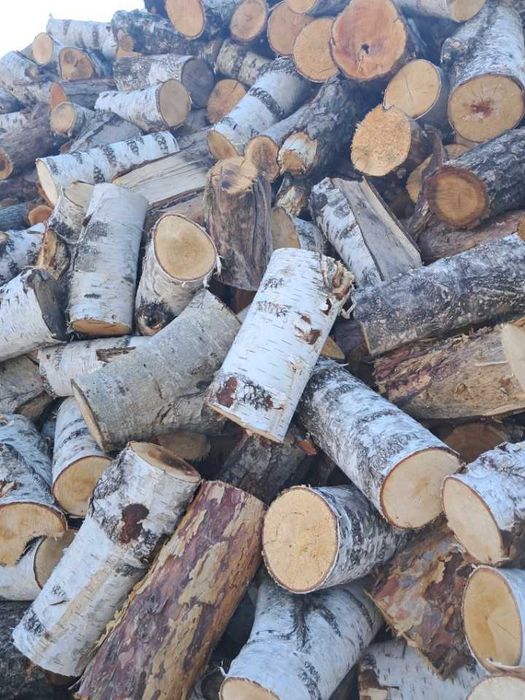 Drzewo,drewno opałowe,opał,kominkowe dąb, brzoza,akacja,sosna