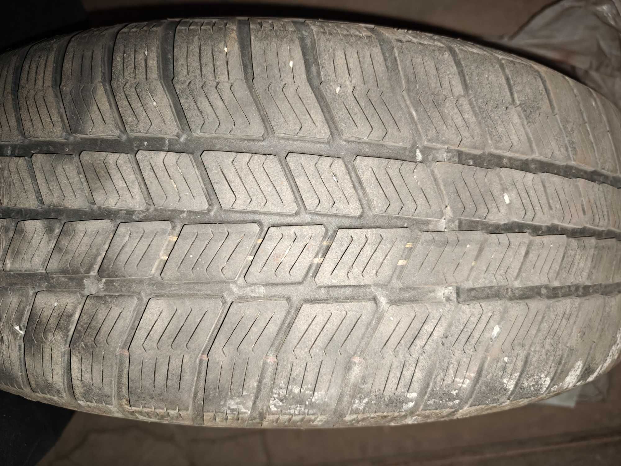 Opony zimowe + felgi stalowe Barum Polaris 3 195/65 R15