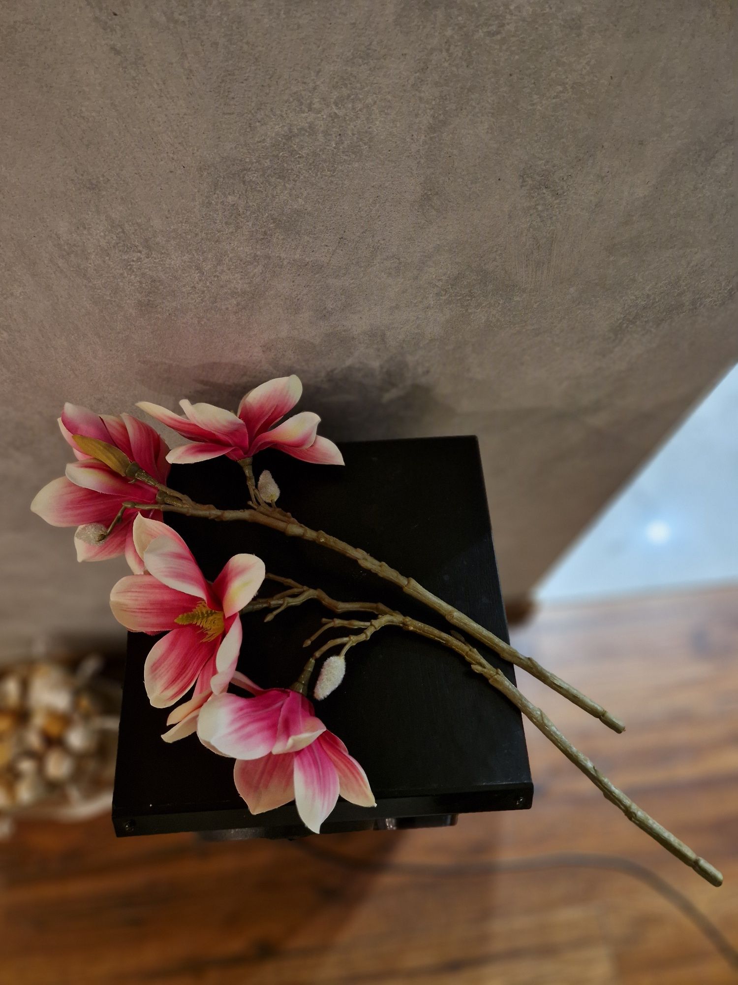 Magnolia 2 gałązki