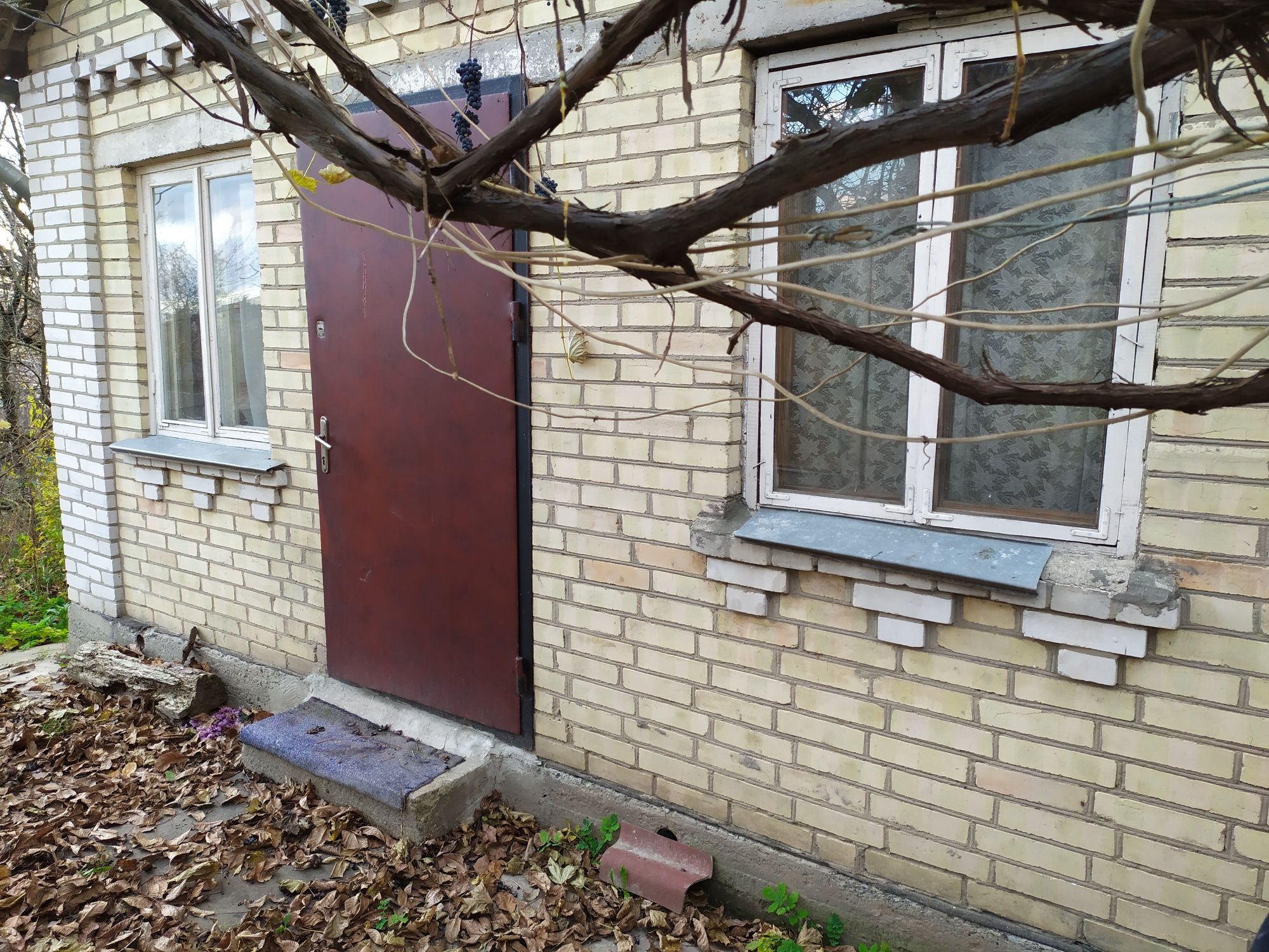 Продам дачу з басейном, в селі "Петрушки" від власника