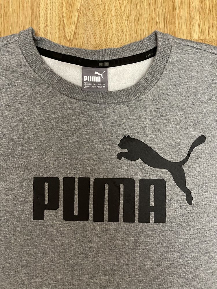 Puma мужской спортивный костюм