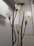 Komplet lampa stojaca plus zyrandoll