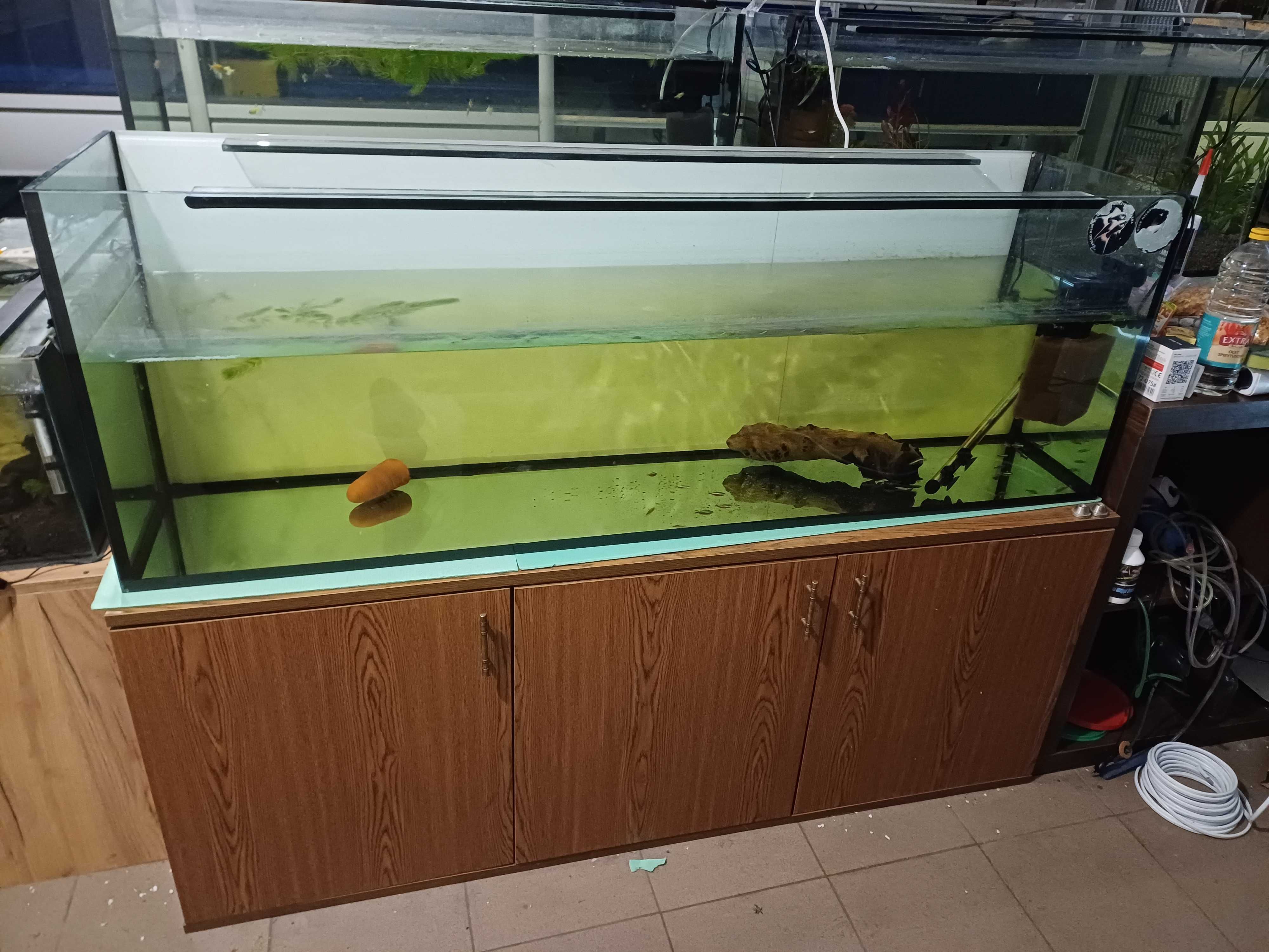 Akwarium 300L 150x40x50h jak nowe. Możliwość zakupu z szafką