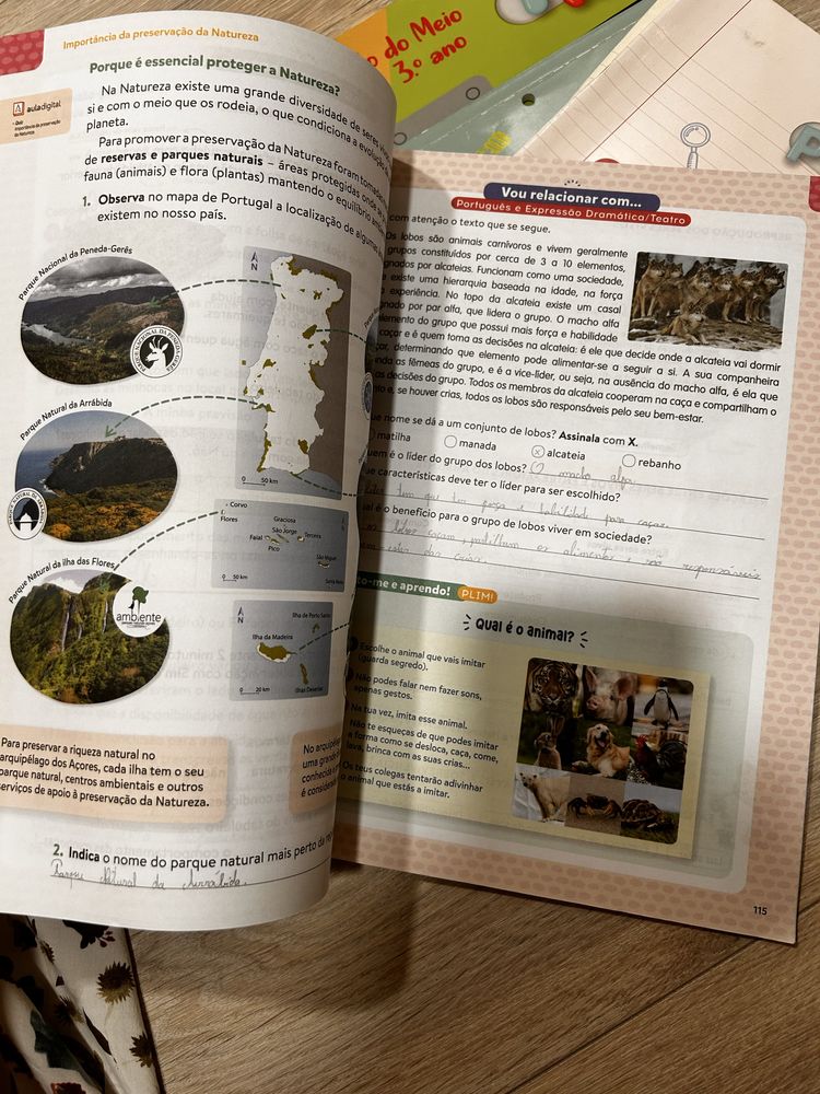 Manual e livro de fichas Estudo do Meio - 3 ano - PLIM