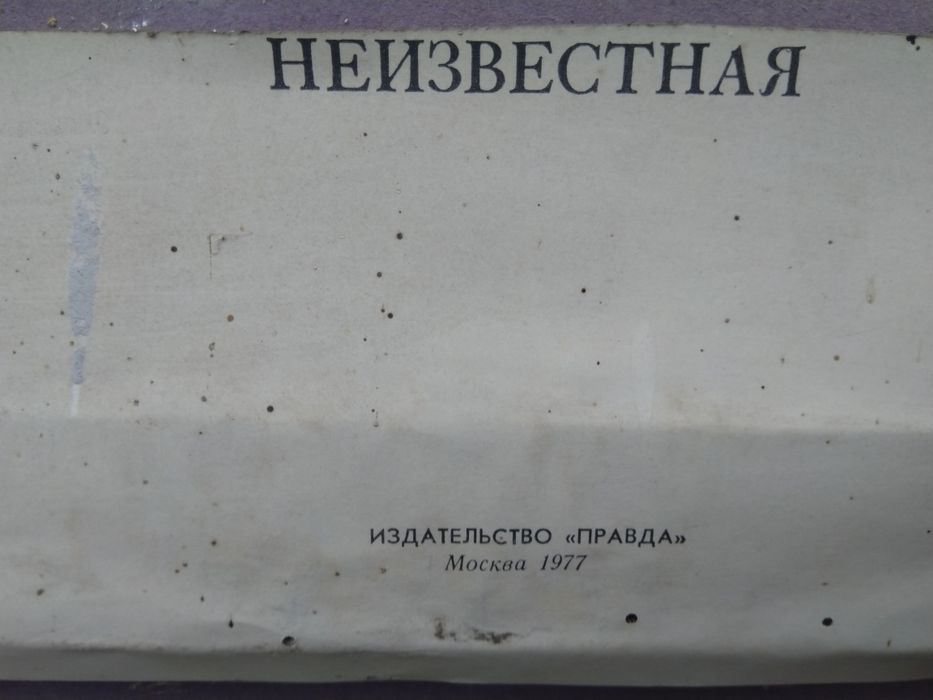 Репродукция картины "Неизвестная"