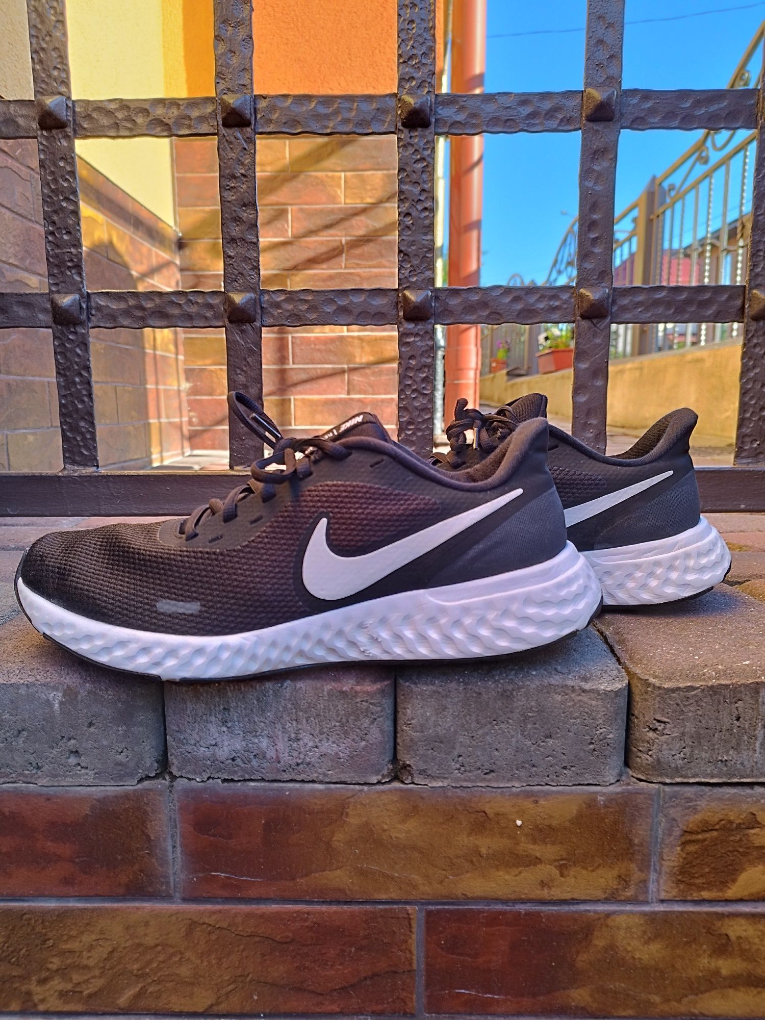 Кросівки чоловічі Nike Revolution 5