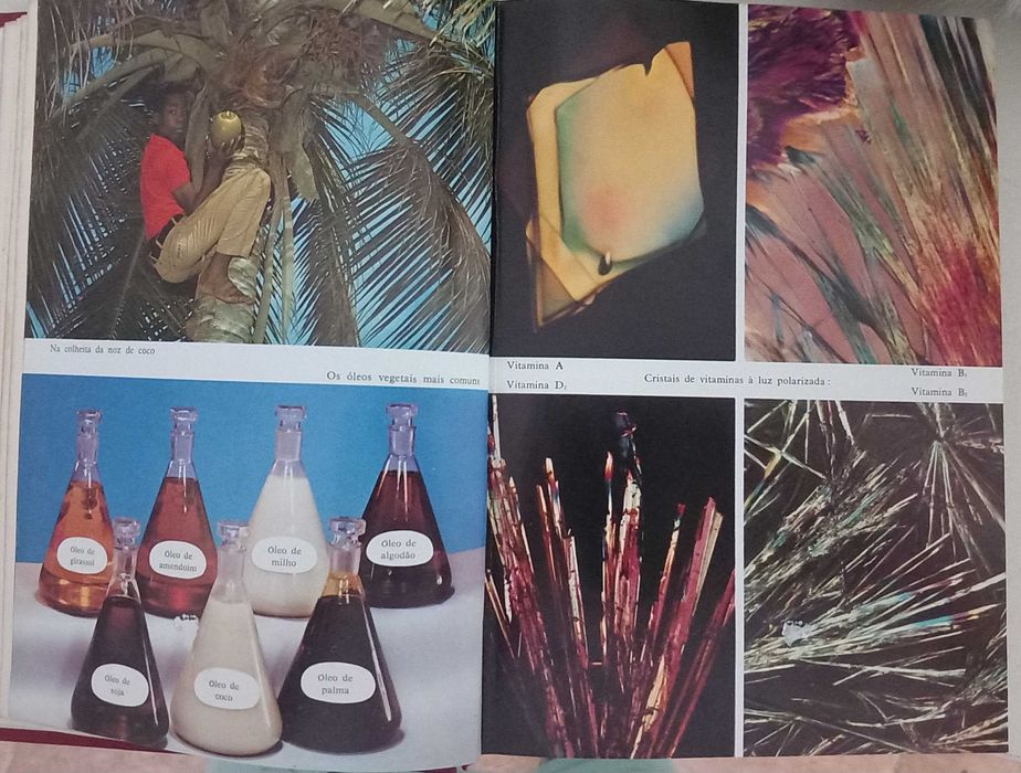 Livro - A Saude pelos Alimentos de Ernest Schneider