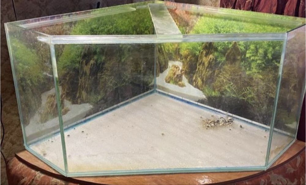 Акваріум 300 літрів