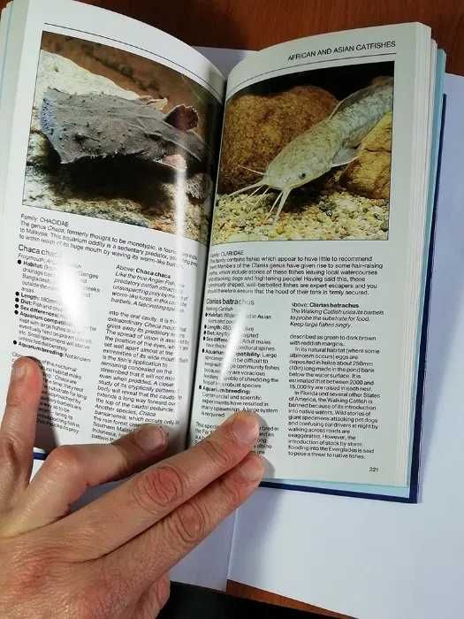 Livro Peixes de Aquário tropicais