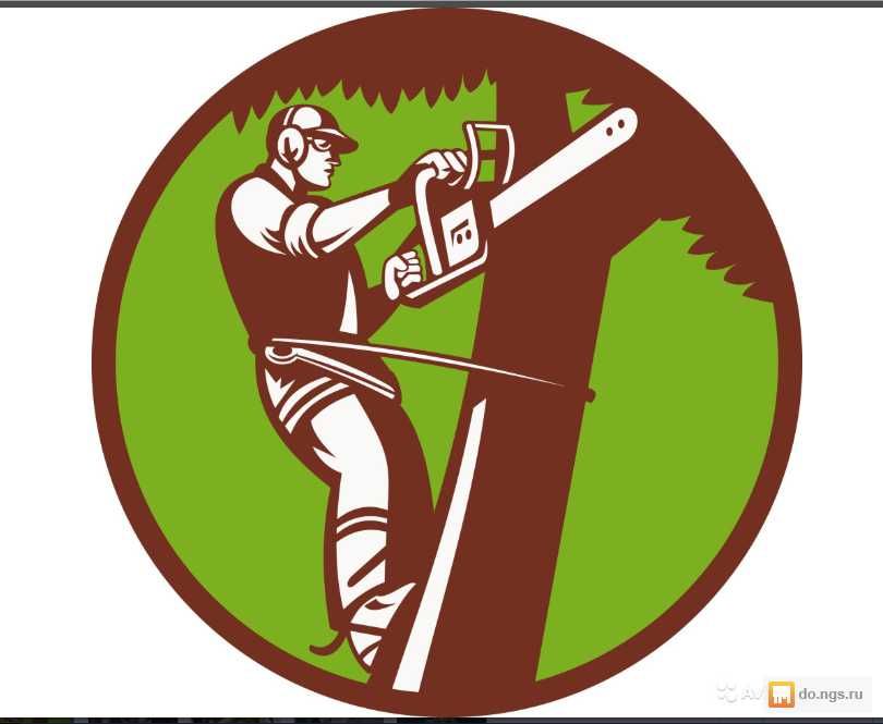 Обрізка викорчовування   дерев різного типу складності