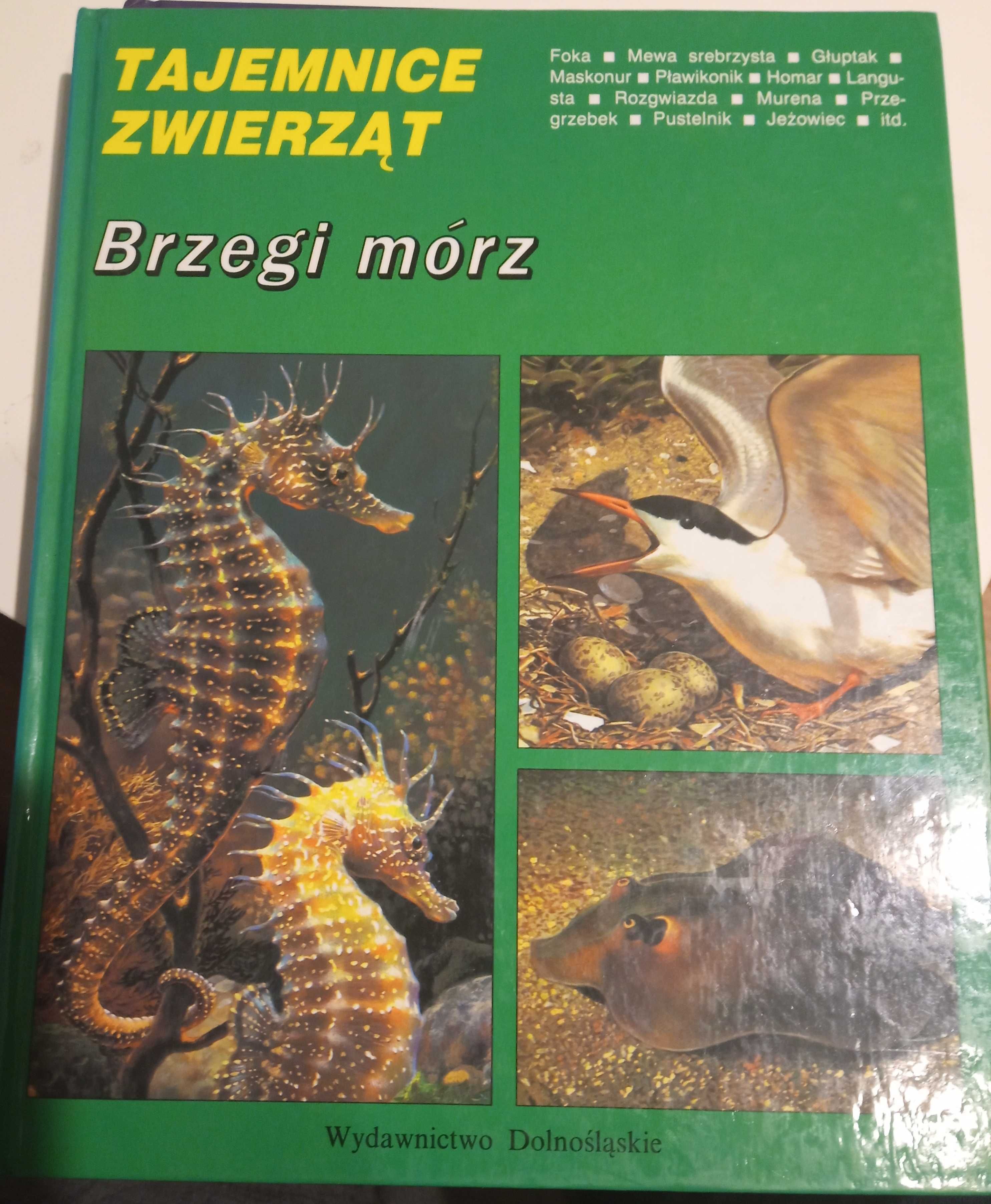 Książka Tajemnice zwierząt Brzegi mórz