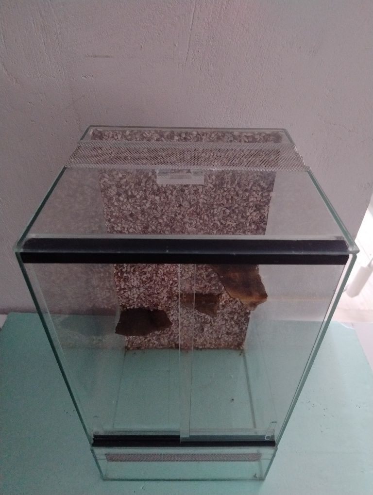 Terrarium pionowe 30x30x50 cm