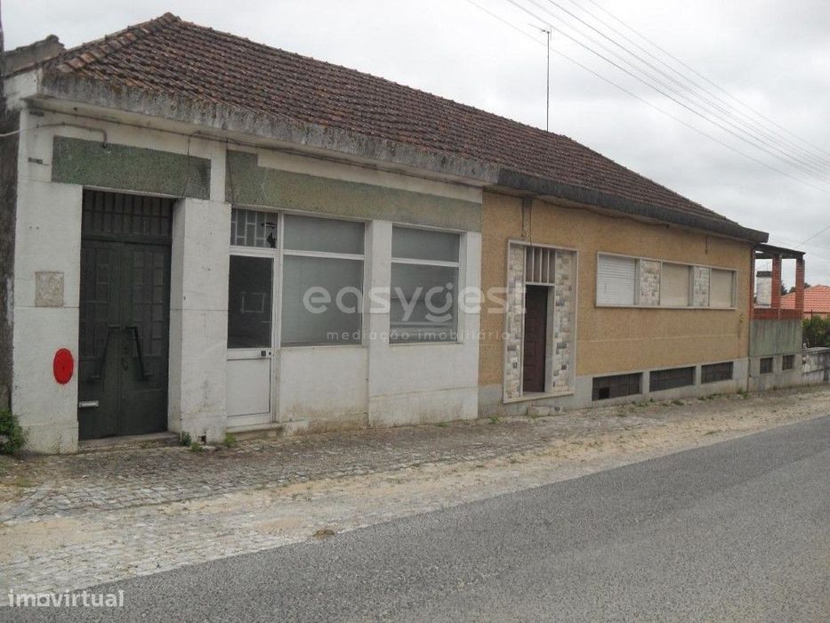 Moradia T3 com terraço, Loja, Cave, Armazéns, Logradouro em Alcanena.