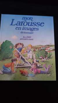 man Larousse en images dictionnaire. На французском языке для детей.
