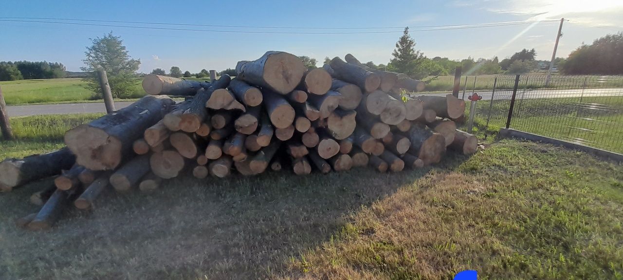Drewno opałowe/kominkowe Buk,Dąb,olcha,Brzoza,sosna