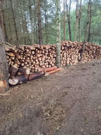 Drewno na opał drewno opałowe