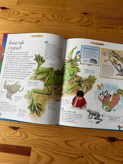 Książka Encyklopedia wiedzy Disney - Gady i płazy