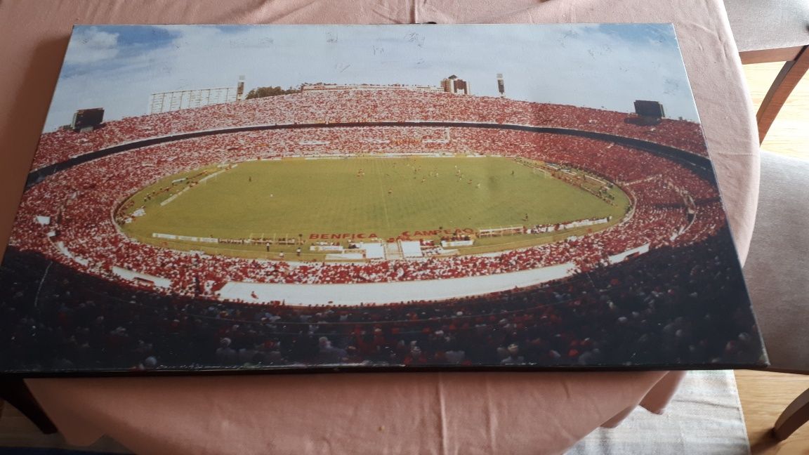 Vendo quadro do antigo Estádio da Luz