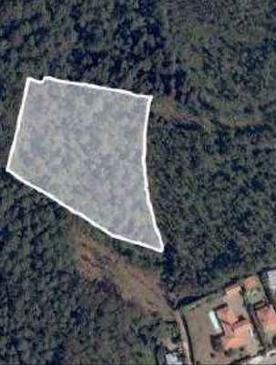 Terreno rustico com 11.000m2 — Macieira de Sarnes, Aveiro