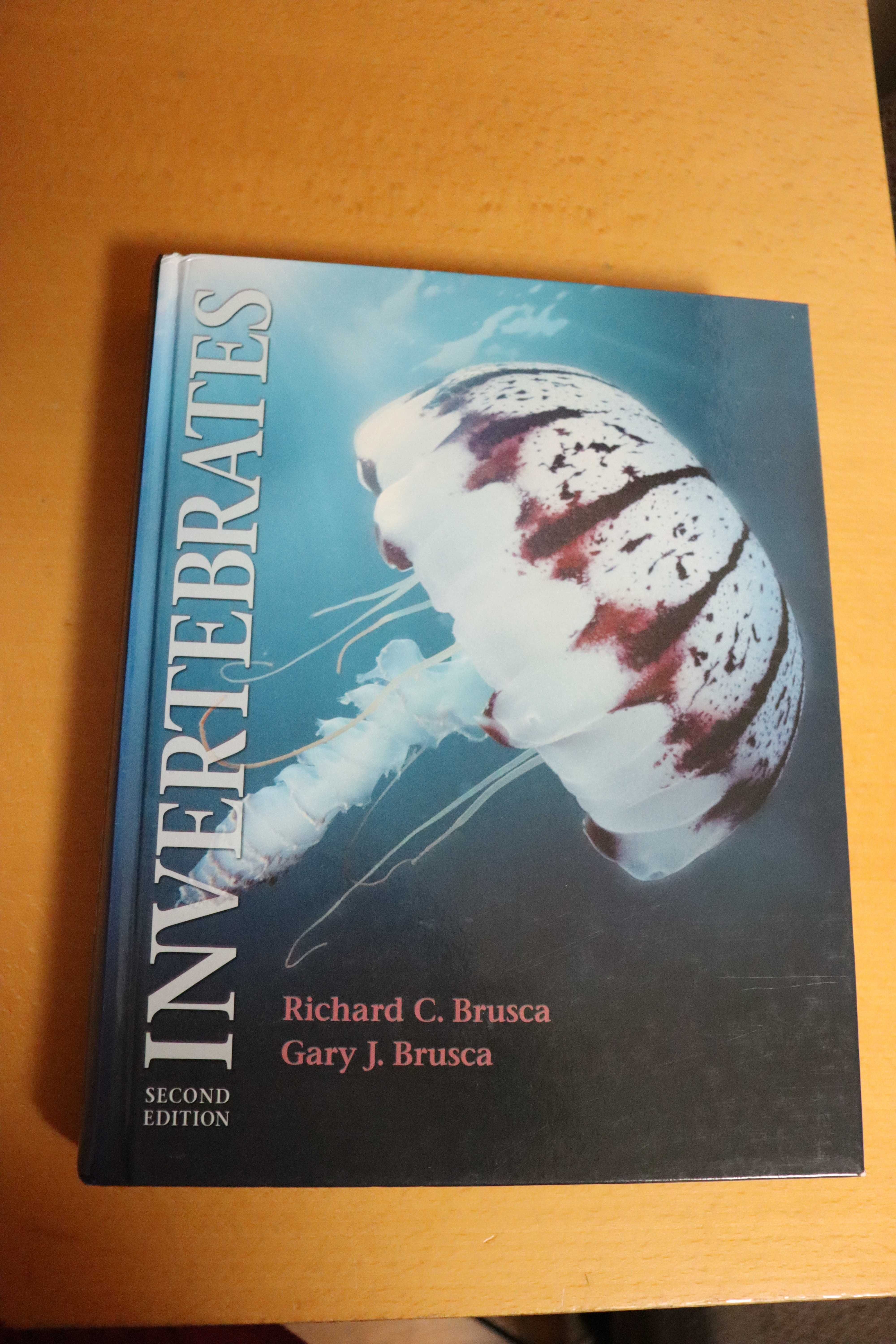 Invertebrates - Brusca - Como novo!