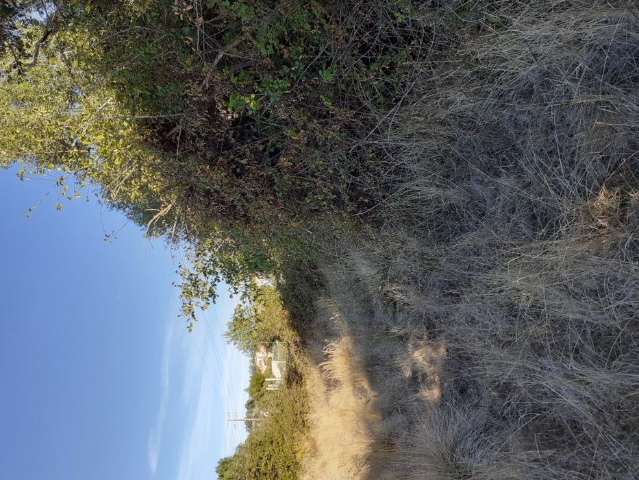 Limpezas de terrenos... Orçamentos grátis