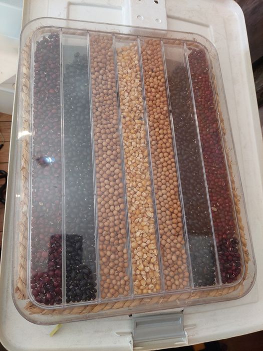 Tabuleiro em plástico muito decorativo