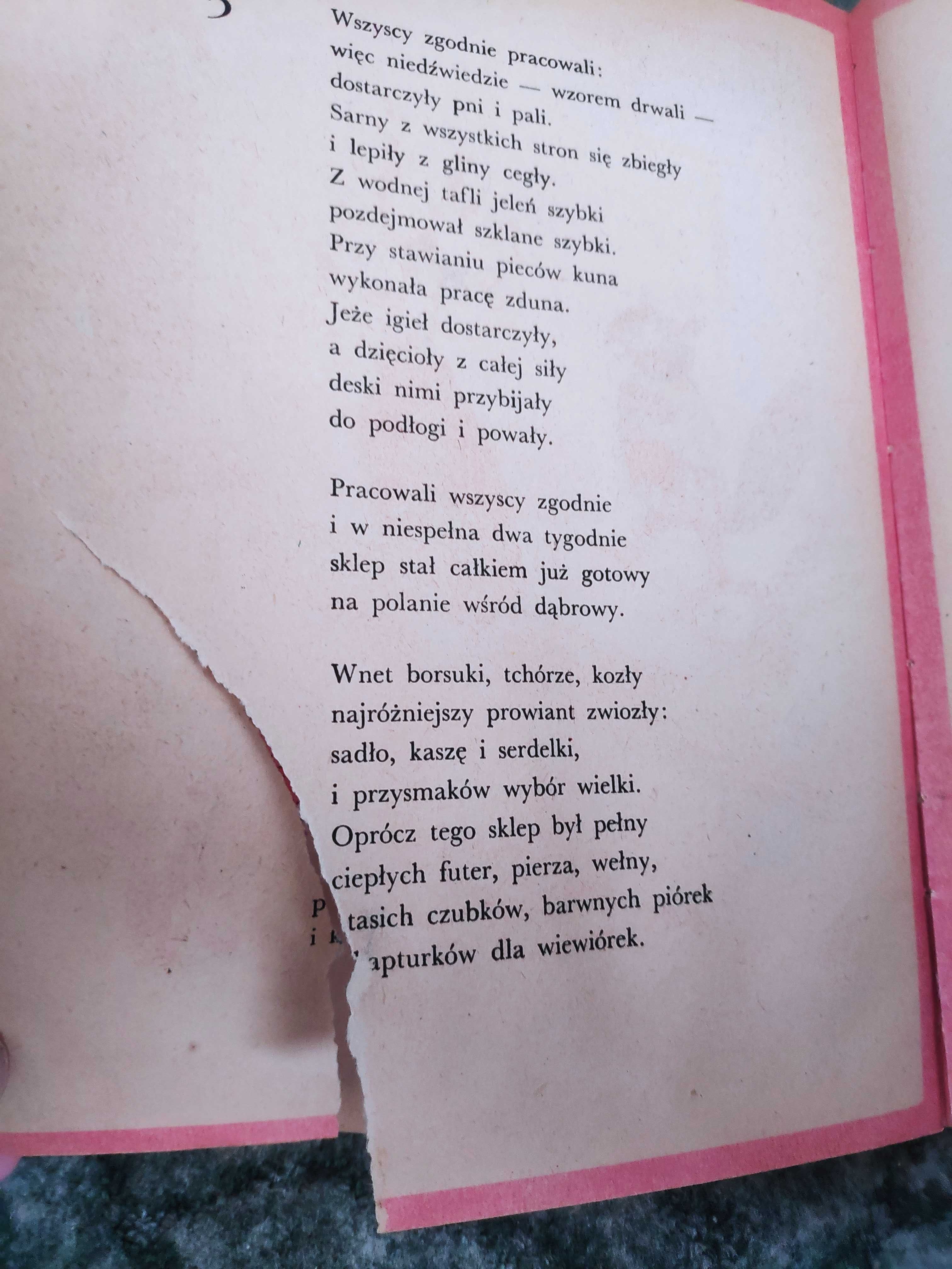 Opowiedział dzięcioł sowie Jan Brzechwa