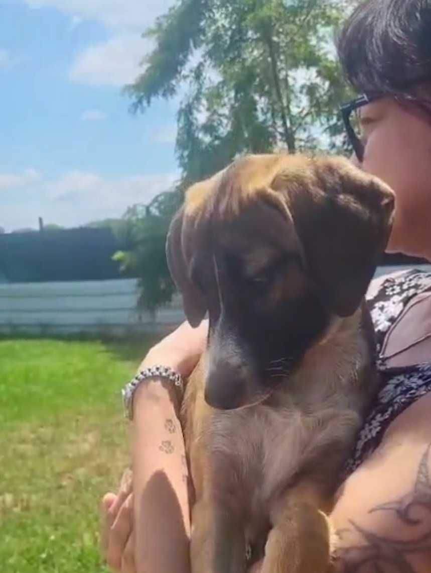 TRUFLA  4 mies sunia uratowana w Bułgarii do adopcji