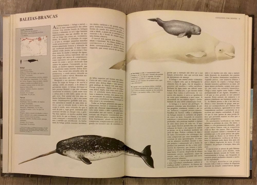 Coleção de 12 livros (Animais de todo o mundo), círculo dos leitores .