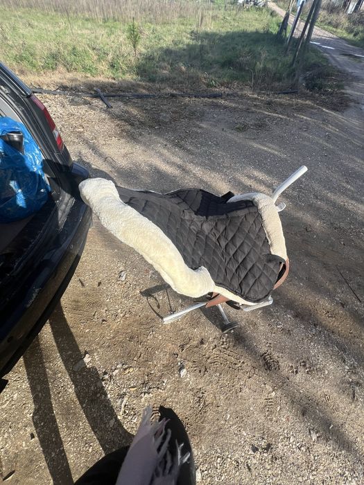 Arreio completo lexhis