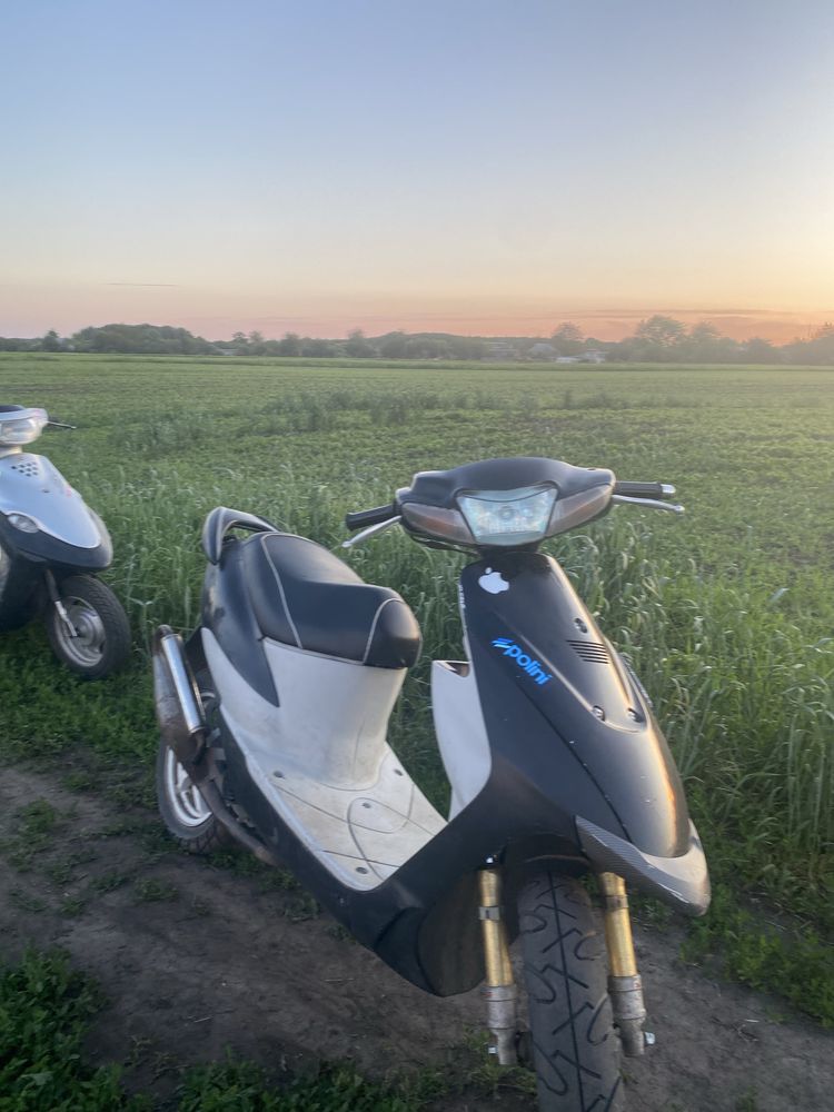 Suzuki zz in chap