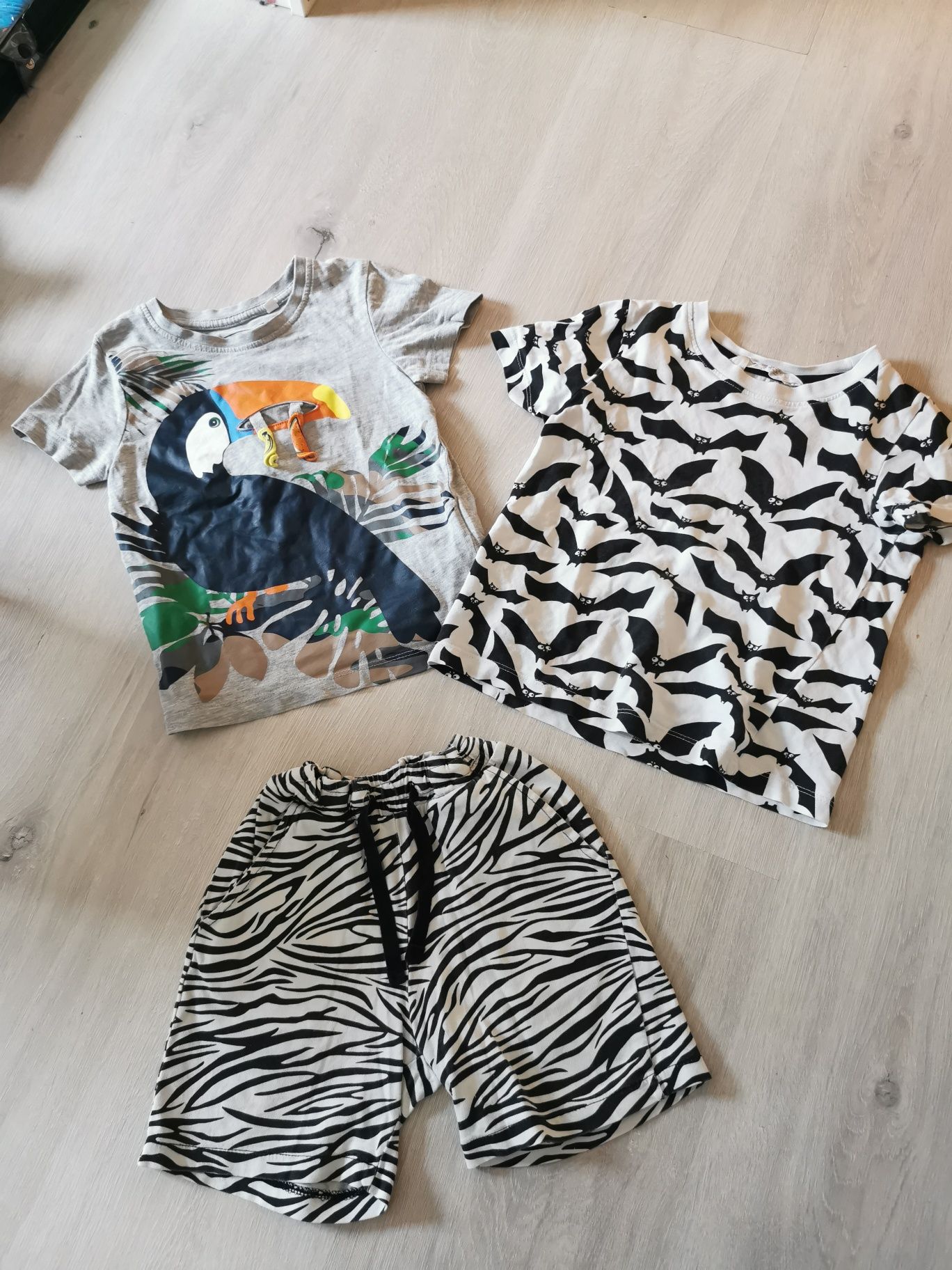 Zestaw na lato koszulka z tukanem, szorty zebra h&m i c&a r. 98