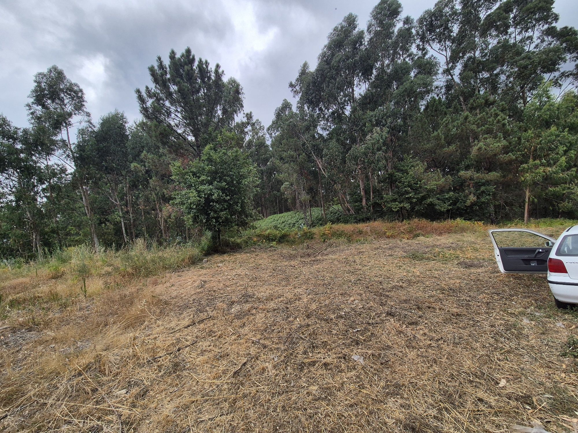 Terreno Rústico Construtivel