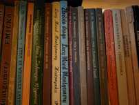 Kolekcja książek Lucy Maud Montgomery, Ania z Zielonego wzgórza i inne